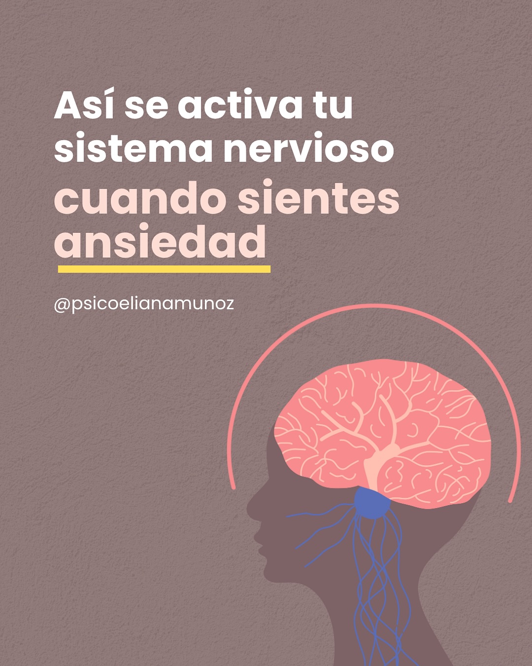 Descripción de la imagen